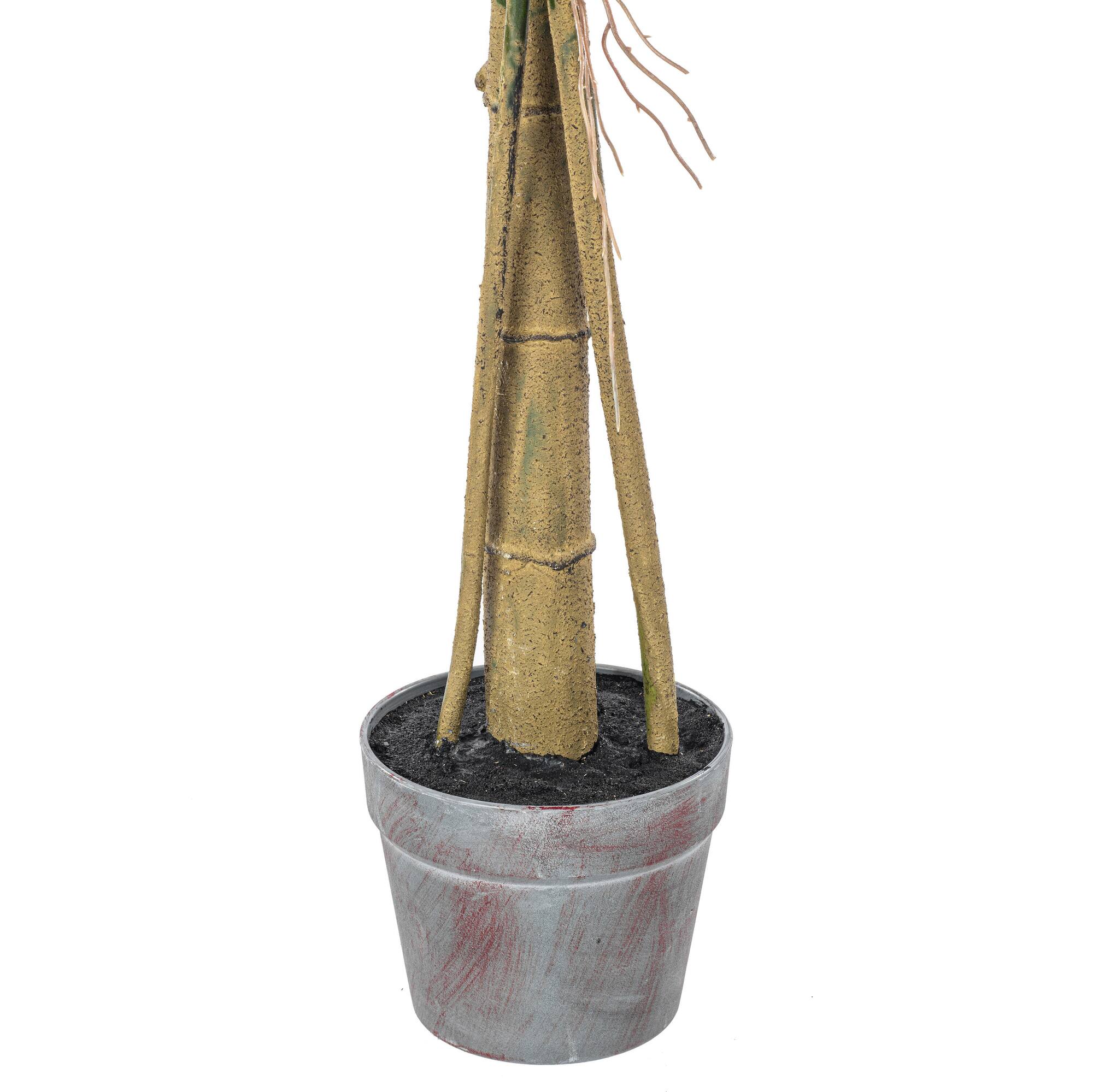 4.5ft. Potted Grand Split Philodendron Tree